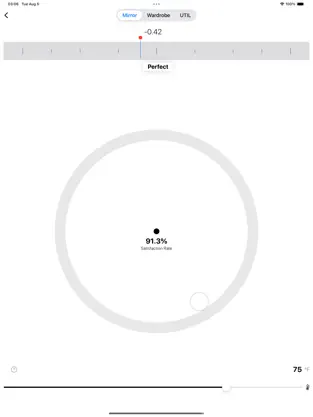 iPad interface screenshot