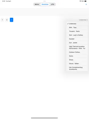 iPad interface screenshot